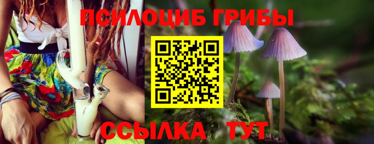 Галлюциногенные грибы MAGIC MUSHROOMS  Вход с VPN  Вологда 